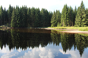 Stieglitzsee