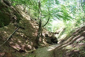 Die Drachenschlucht in Eisenach
