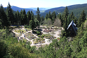 Rennsteiggarten Oberhof