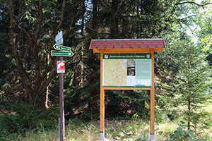 Schlossbergkanzel bei Oberhof
