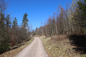 Der Weg zum Schneidersgrund in Zella-Mehlis