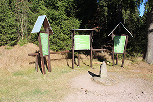Stein 16 bei Oberhof