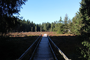 Das Schützenbergmoor