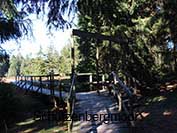 Schützenbergmoor Oberhof